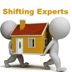 Shifting Experts 24x7