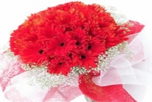 Flowers N Wishes-send Flowers To Chandigarh