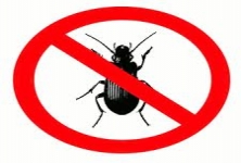 Abi s india pest control services