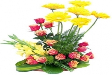 Flowers N Wishes-send Flowers To India