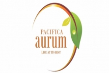 Pacifica Company