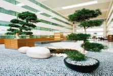 Hotel Zen Garden