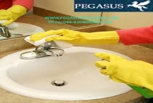 Aqua & Arthropods Pest Control Private Limited