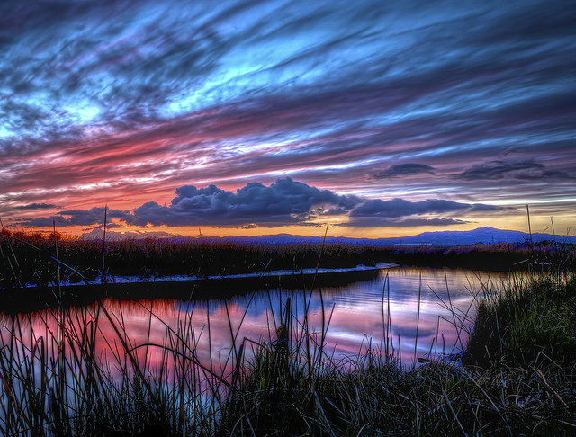 Sunset in Suisun Marsh