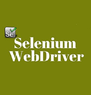 Best Selenium Training In Bangalore With Good Placement