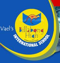 VAELS INTERNATIONAL SCHOOL