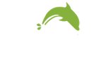 Dolphy Pvt Ltd | Distributor