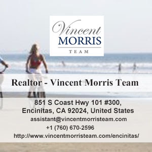 Realtor - Vincent Morris Team