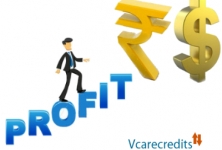 Vcare Credits - Tally Solutions Company