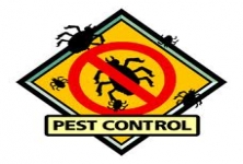  Pest Control Eradication Serv P Ltd
