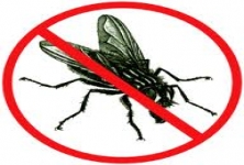  Pest Control Eradication Serv P Ltd