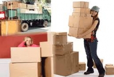  Alfa Packers & Movers