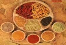 Batra Food Products