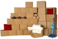 Goodwill Domestic Packers and Movers