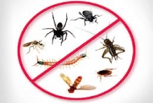 Entos De Pest Solutions Pvt. Ltd.