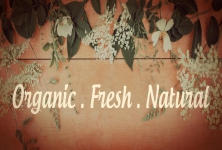 Magic Dust Organic