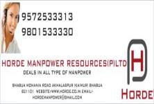 Horde Manpower Resources Pvt.ltd