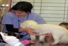 Chezhian Pet Care Hospital