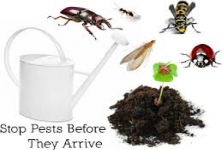 A1 Pest Control Services , Yeswanthpur