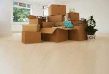 Trans Cargo 0f India Packers And Movers Private Limited